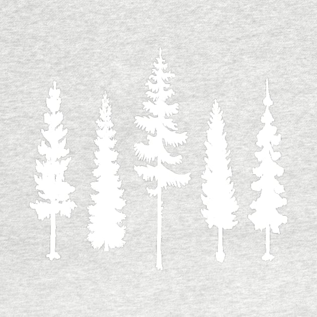 Pine trees forest by PallKris